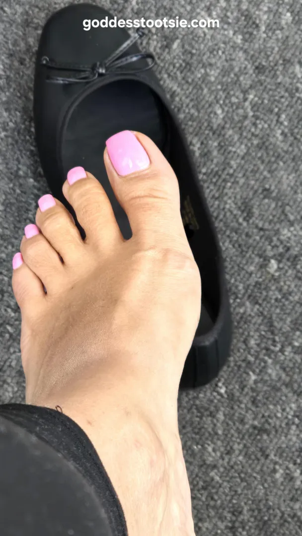 You’ve thought about it long enough… Now feel it. Experience it. Your first step into devotion starts here. posted by goddesstootsie