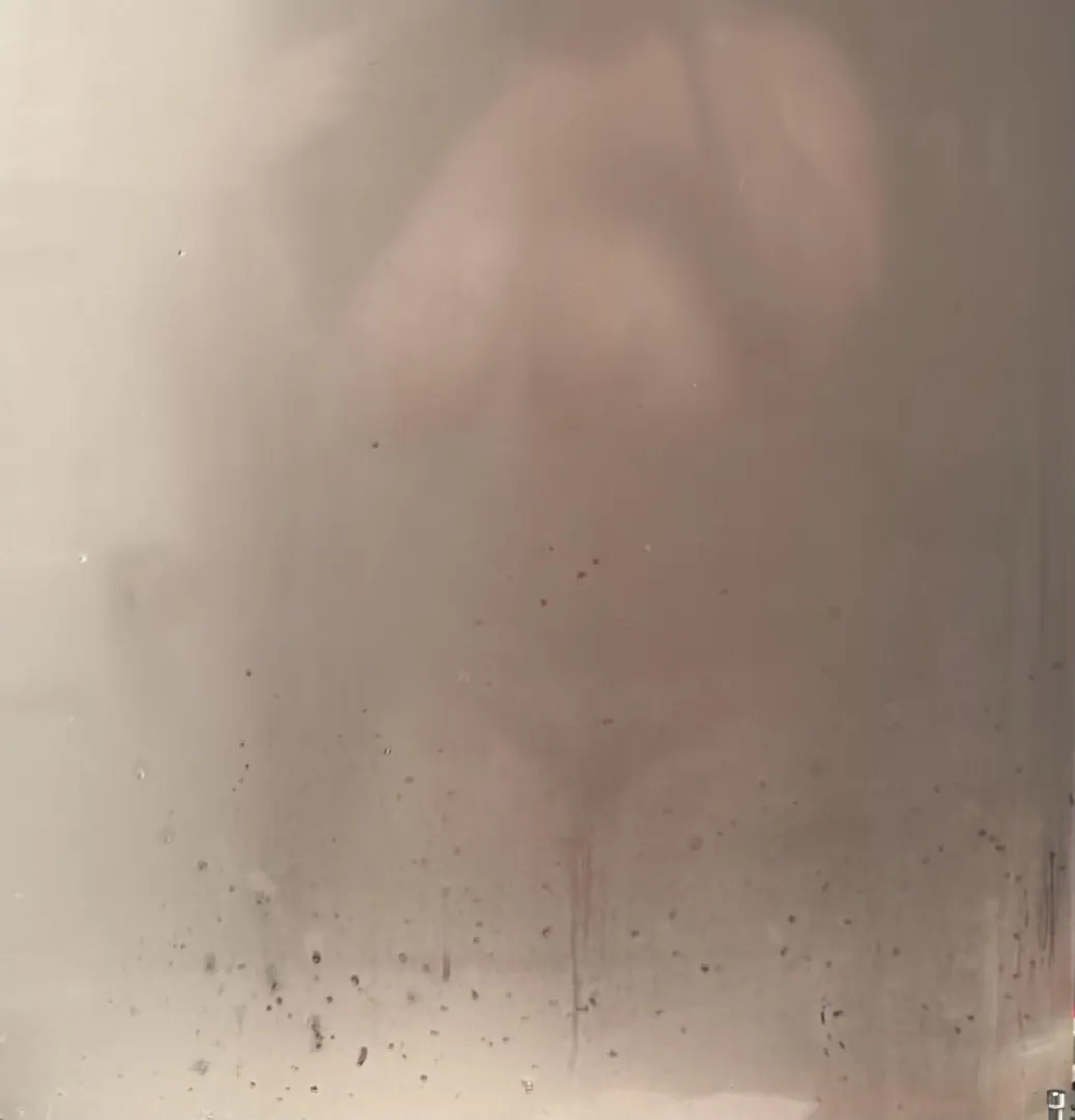 Yummy Sunday posted by here-baby-babe