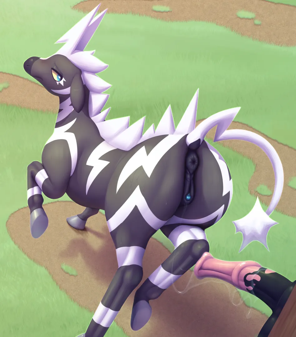 Zebstrika doing some solo training [F] (Anojaa) posted by WaterCat15