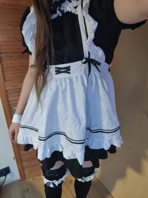 Zu Diensten :P by NoTransportation7714