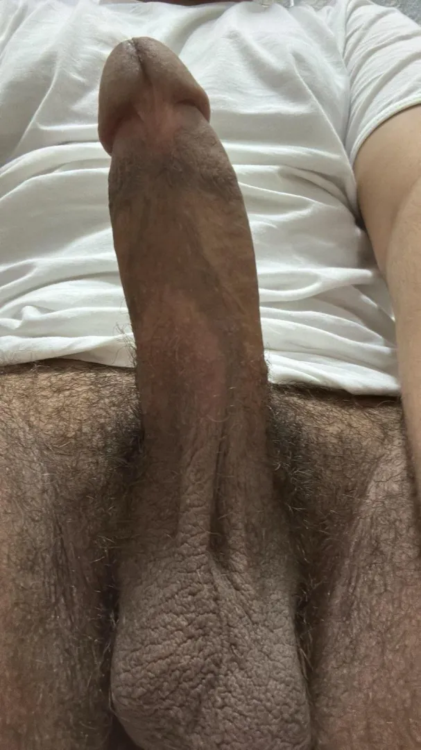 زبي زعلان يبي طيز تراضيه من الشطور يراضيه بطيزه  posted by big_dick9988