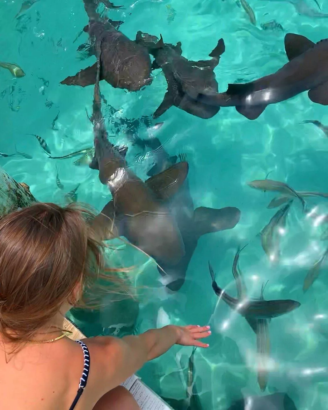 🦈 posted by BakugoShonen