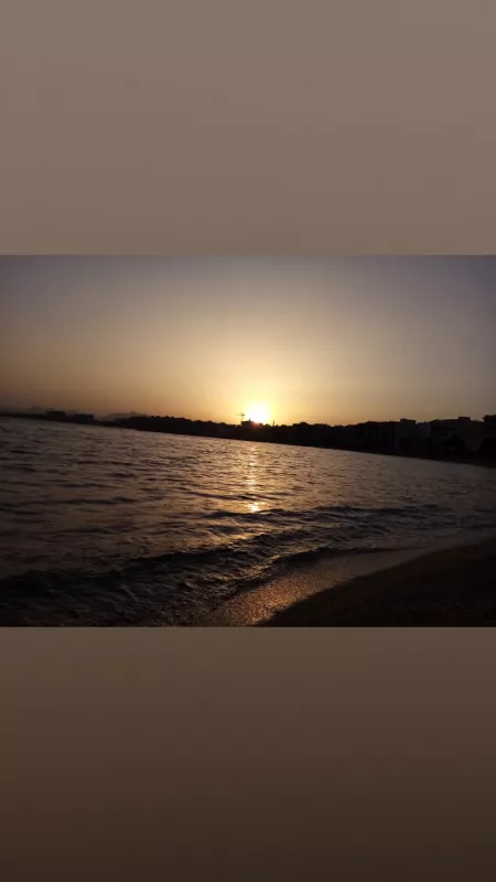 📷 by RaspberryLeather5383