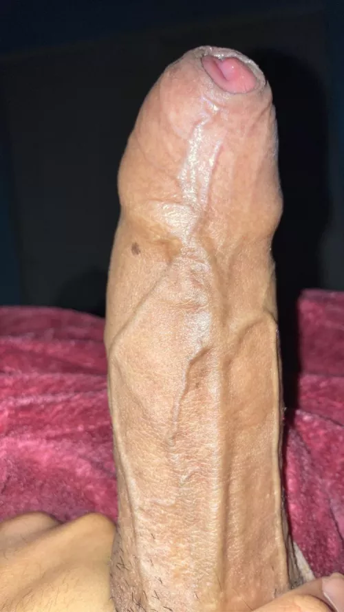 😈 by HeronPretend142