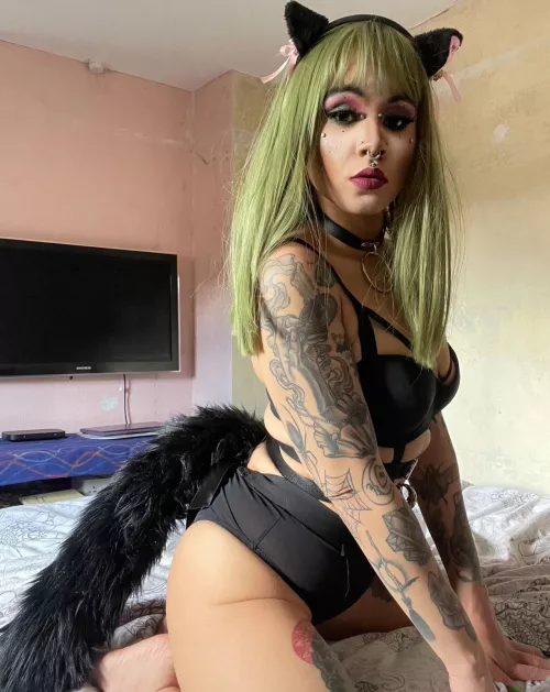 🐱 by g0thschlampe