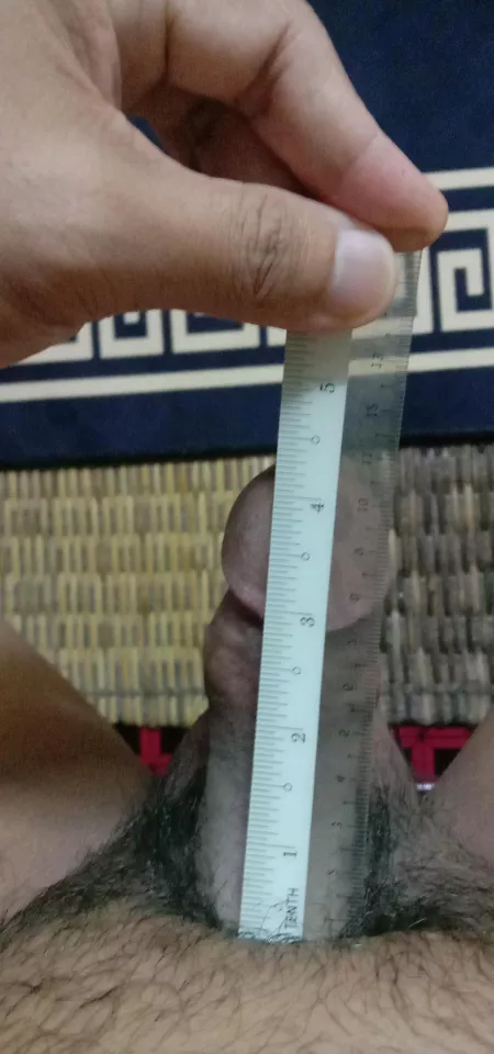 🙊🙈 by Brief-Rent