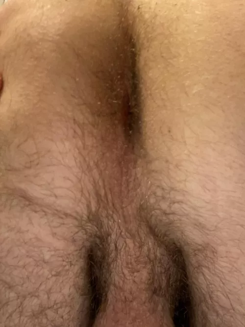 🍑 by SingleMusician9651