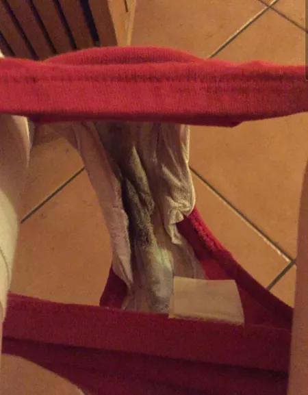 ❤🥵💦 by vvselias