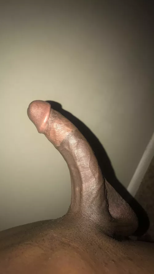 . by Future-Wolf-1140