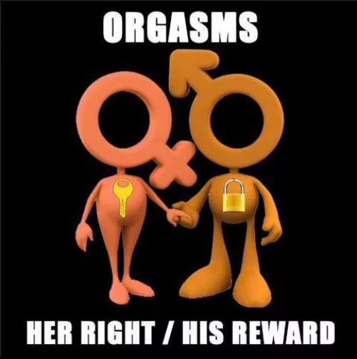 ❤️❤️❤️ by Translator-Ready