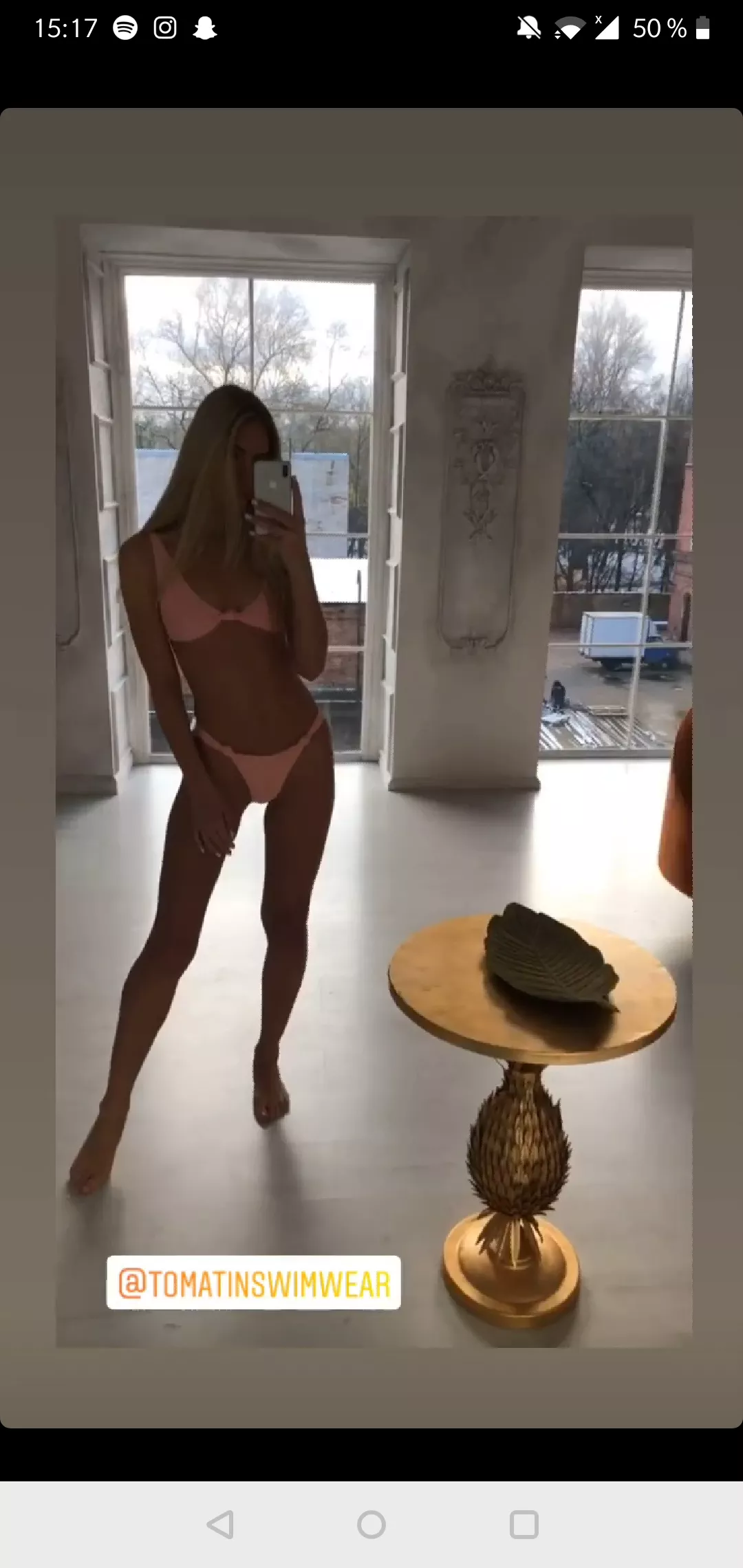 🦚 posted by Tr0LLmannen