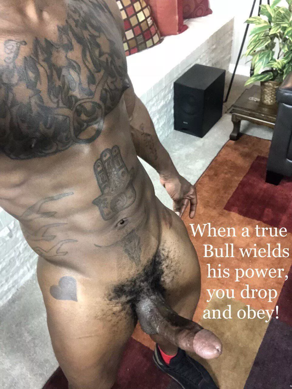 👑 posted by ProgramSecret