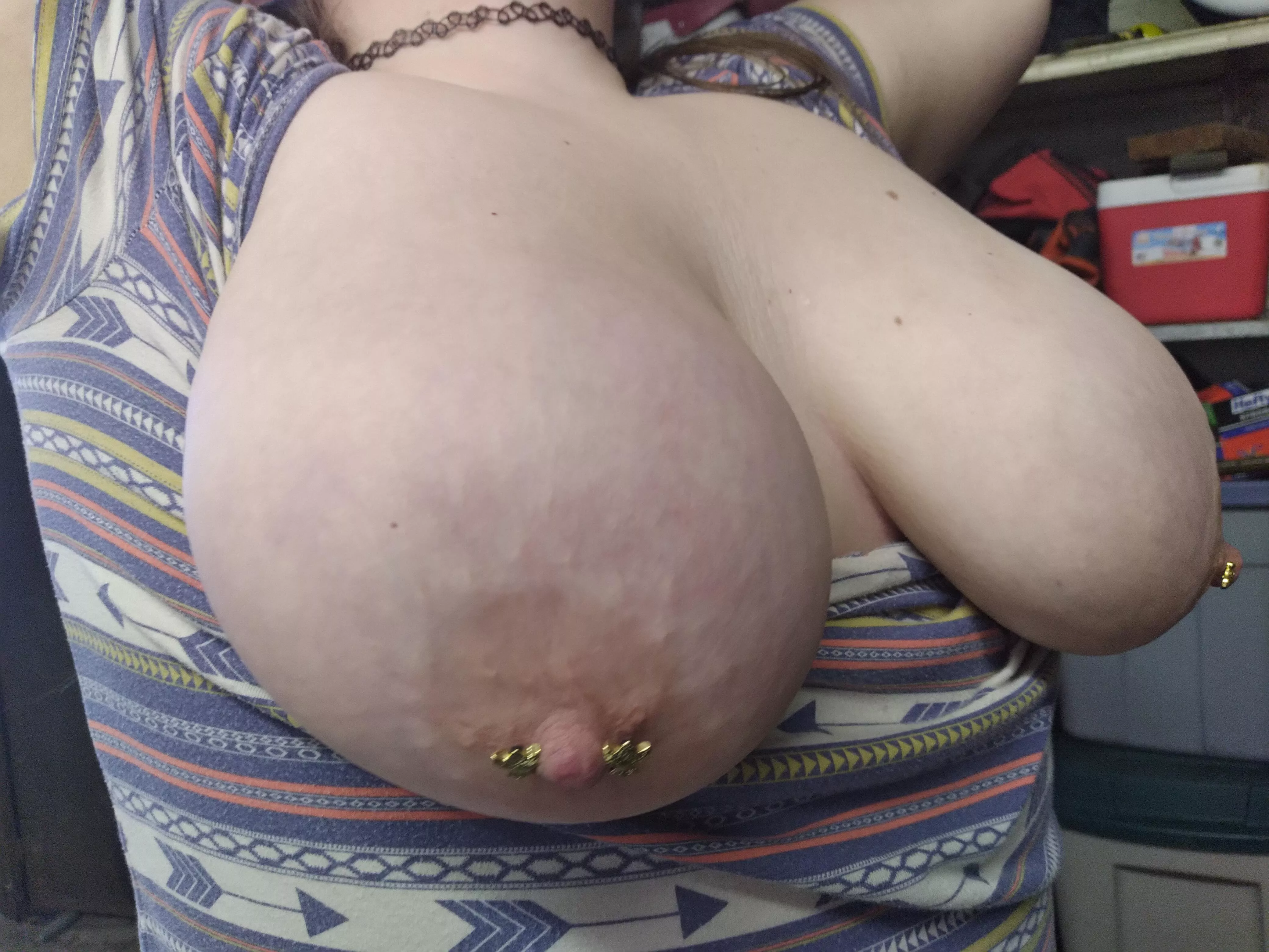 🐷 posted by Right-Road-6474