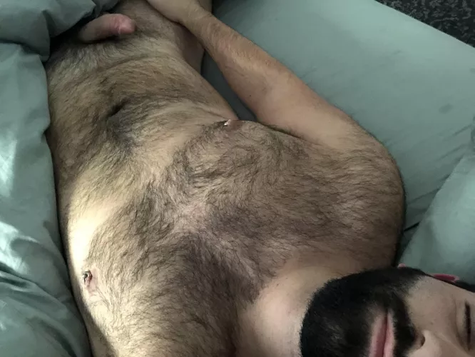 🐻 by thecasualcoholic