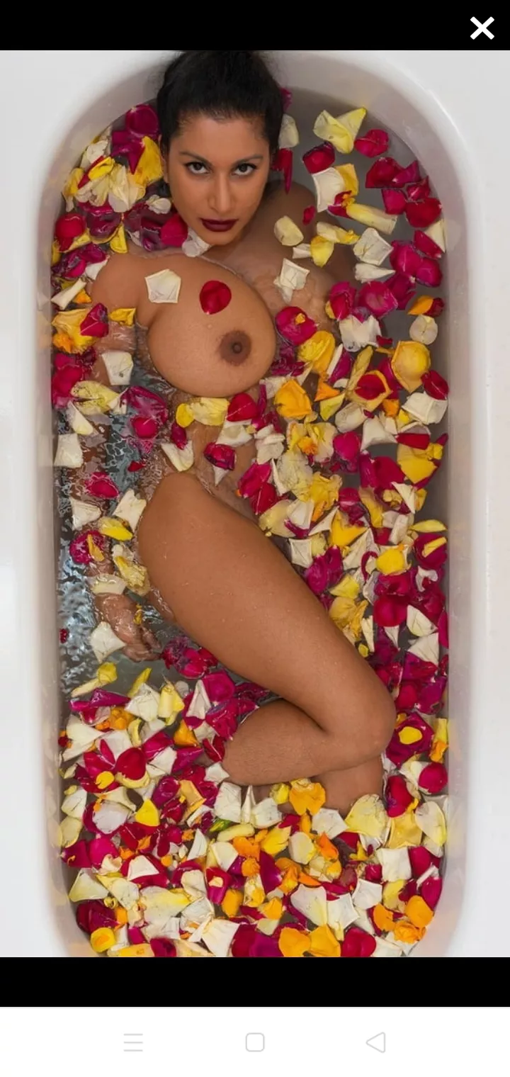 🌹🥀🌷 posted by mdniz