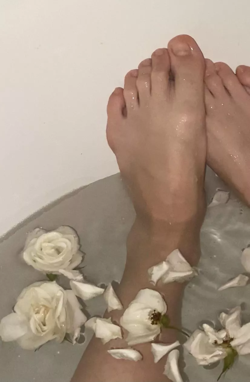 🧸 posted by mhdxz