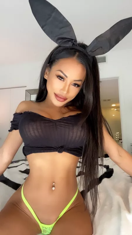 🐰🐰🐰😀 by Swhite2323