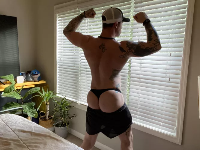 👻🐰👻🐰 by kjberlin510