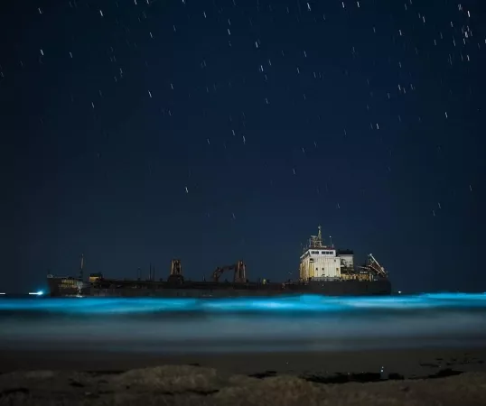 😍 by Alarming-Hope