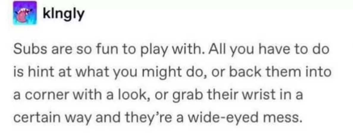 🤣 by LocalPuzzleheaded226