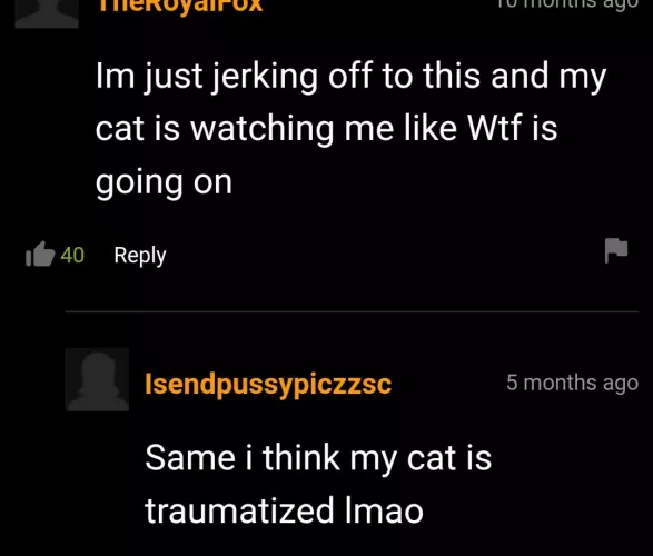 🐱: 😕🤷‍♂️? by throwawa-y1x7