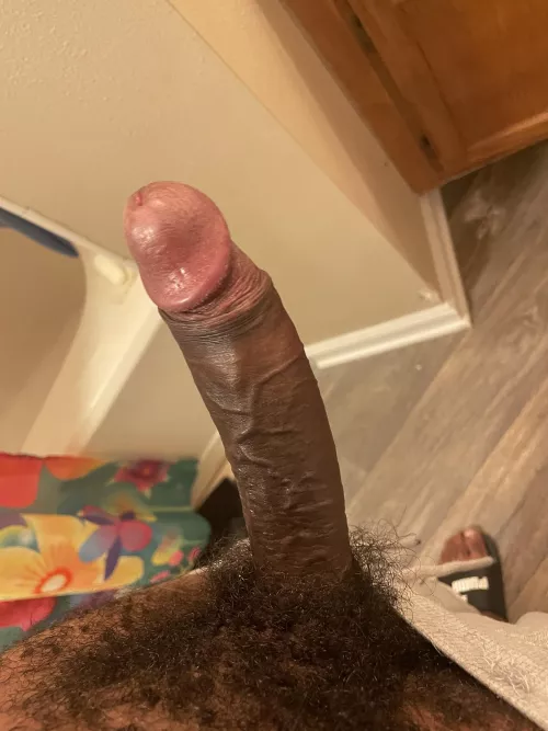 🍆 by Acceptable-Text6292