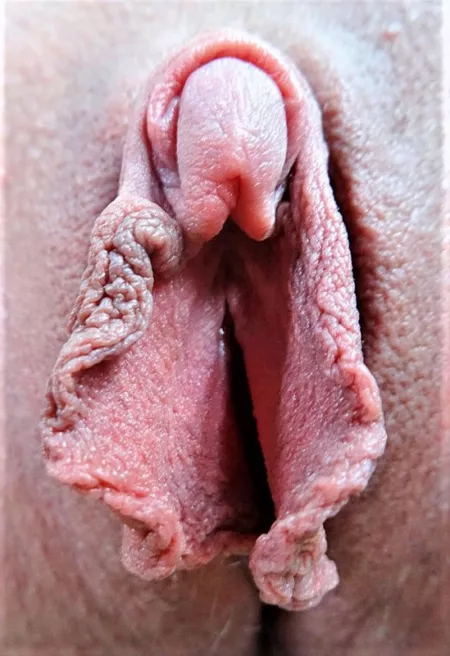 💖💖💯 by Roadliner1