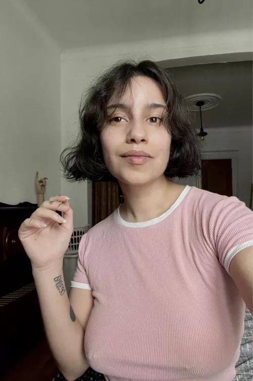 🦖🐍🦎🐢🐊 by vymysela