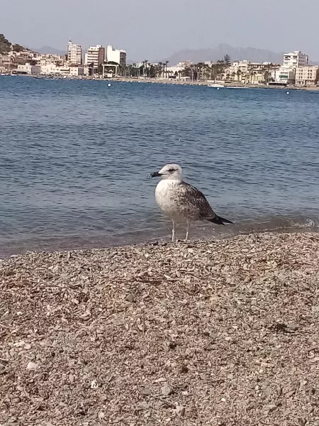 🏖️ by RaspberryLeather5383