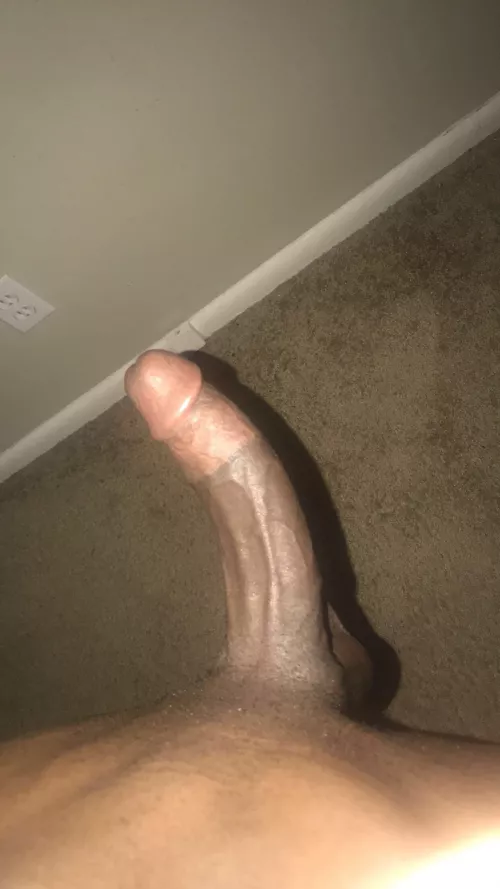 . by Future-Wolf-1140