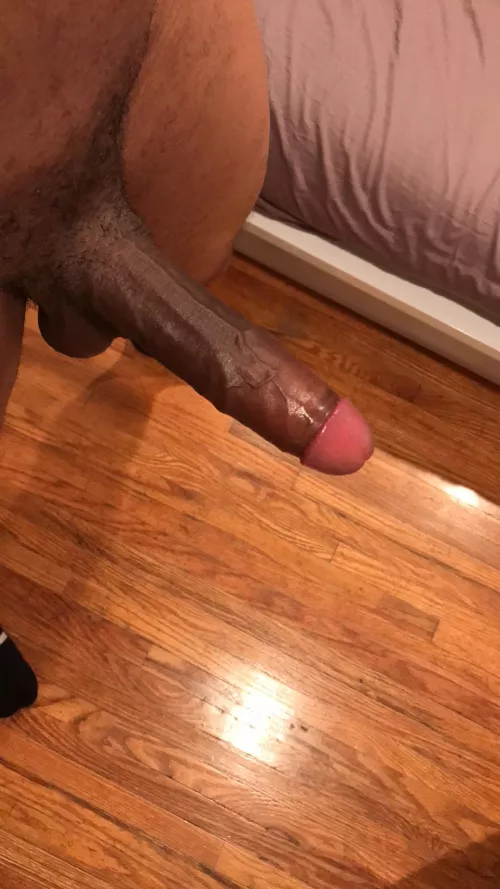 🍆🚀 by exhibition-d