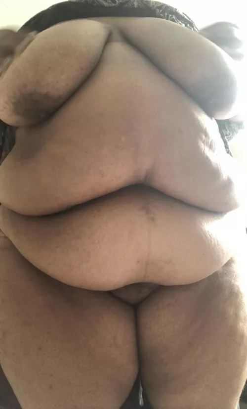 🐷 by southernwalls