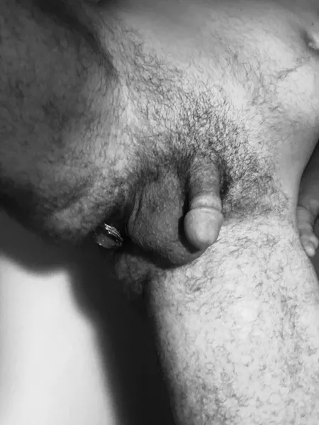 💎 by Advanced-Assistant