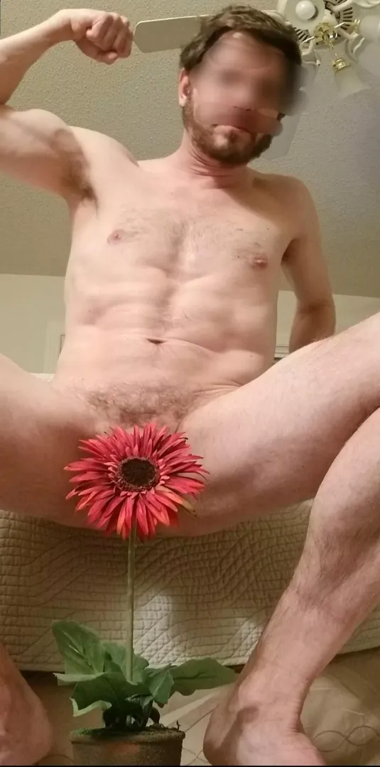 ⚘⚘🥀🥀 posted by randombro8395948