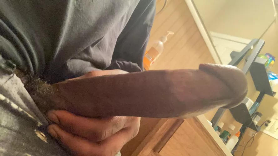 ? by Alternative-Ad1715