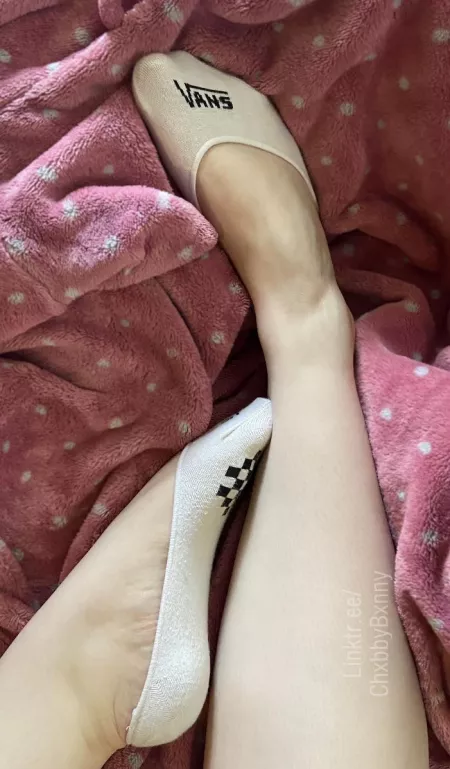 🌸🌸 by ChxbbyBxnny