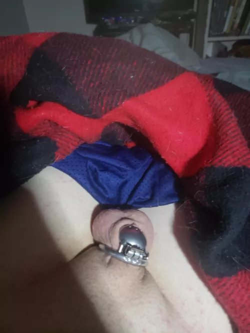 🥵🥺 by Fall_Green