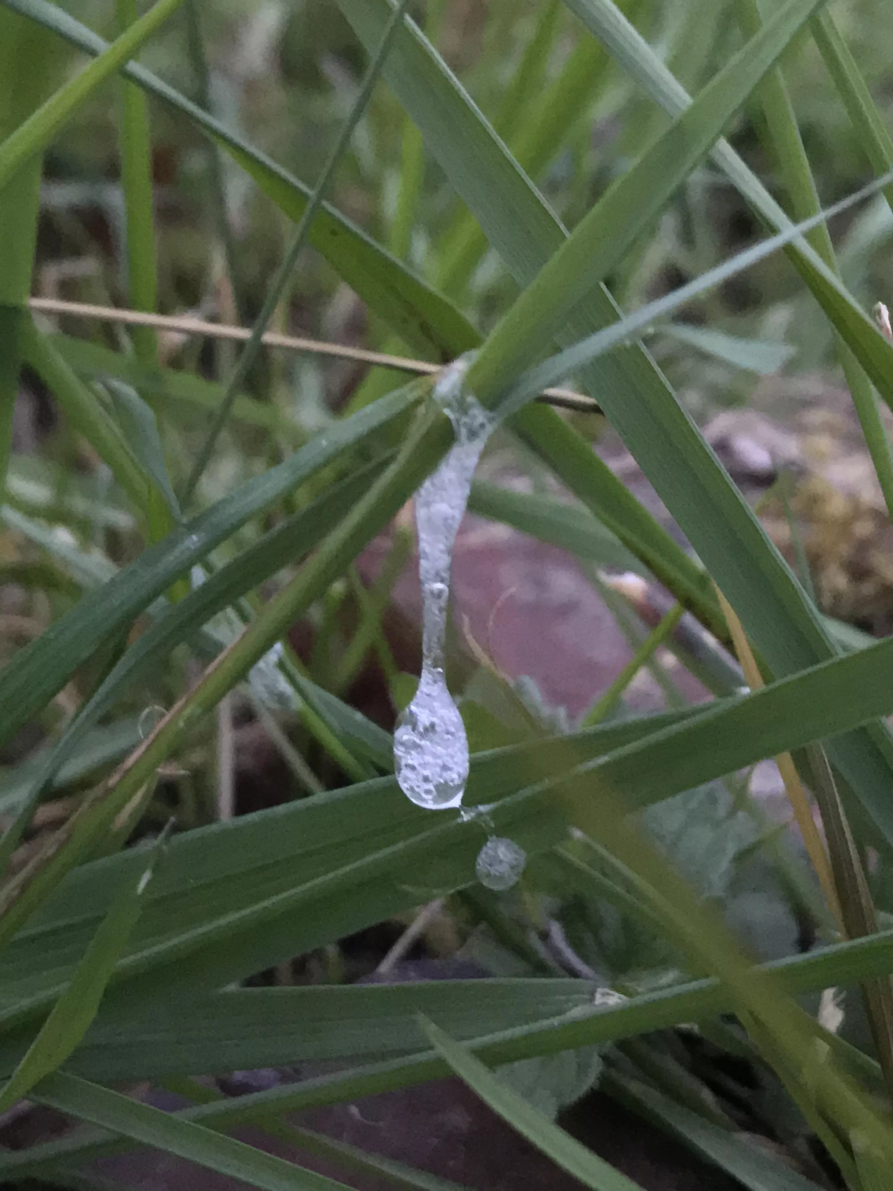 °/, posted by Xspiit