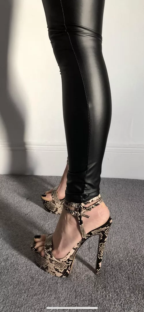 🖤🐍 by HotWifey42