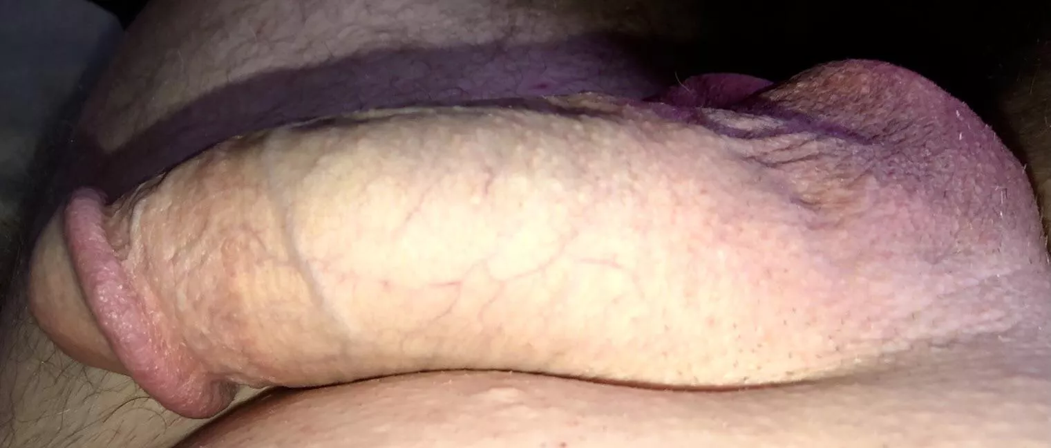 🐍 posted by tycoll13