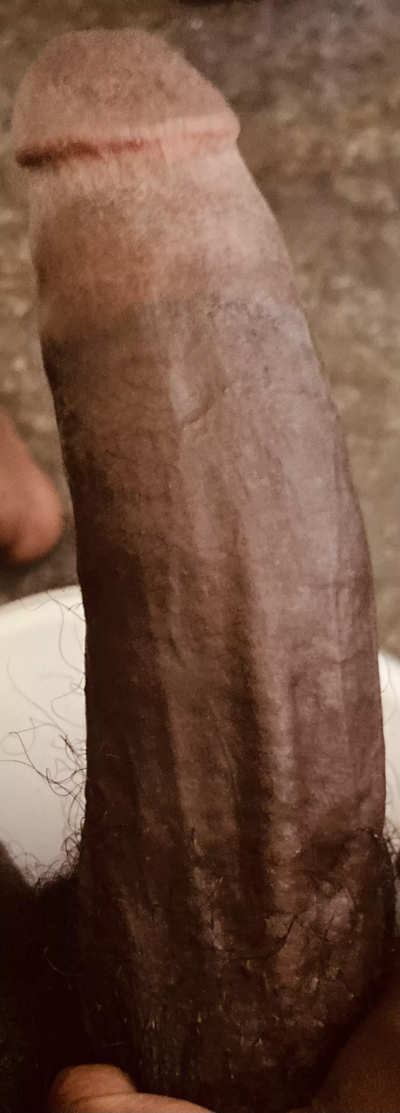 😎 posted by terrymerry11