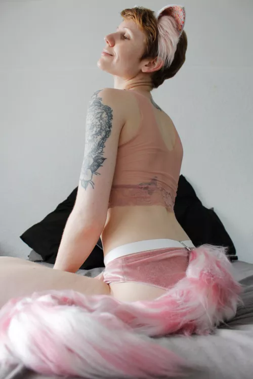 💗🐈🌸 by stretchykitten