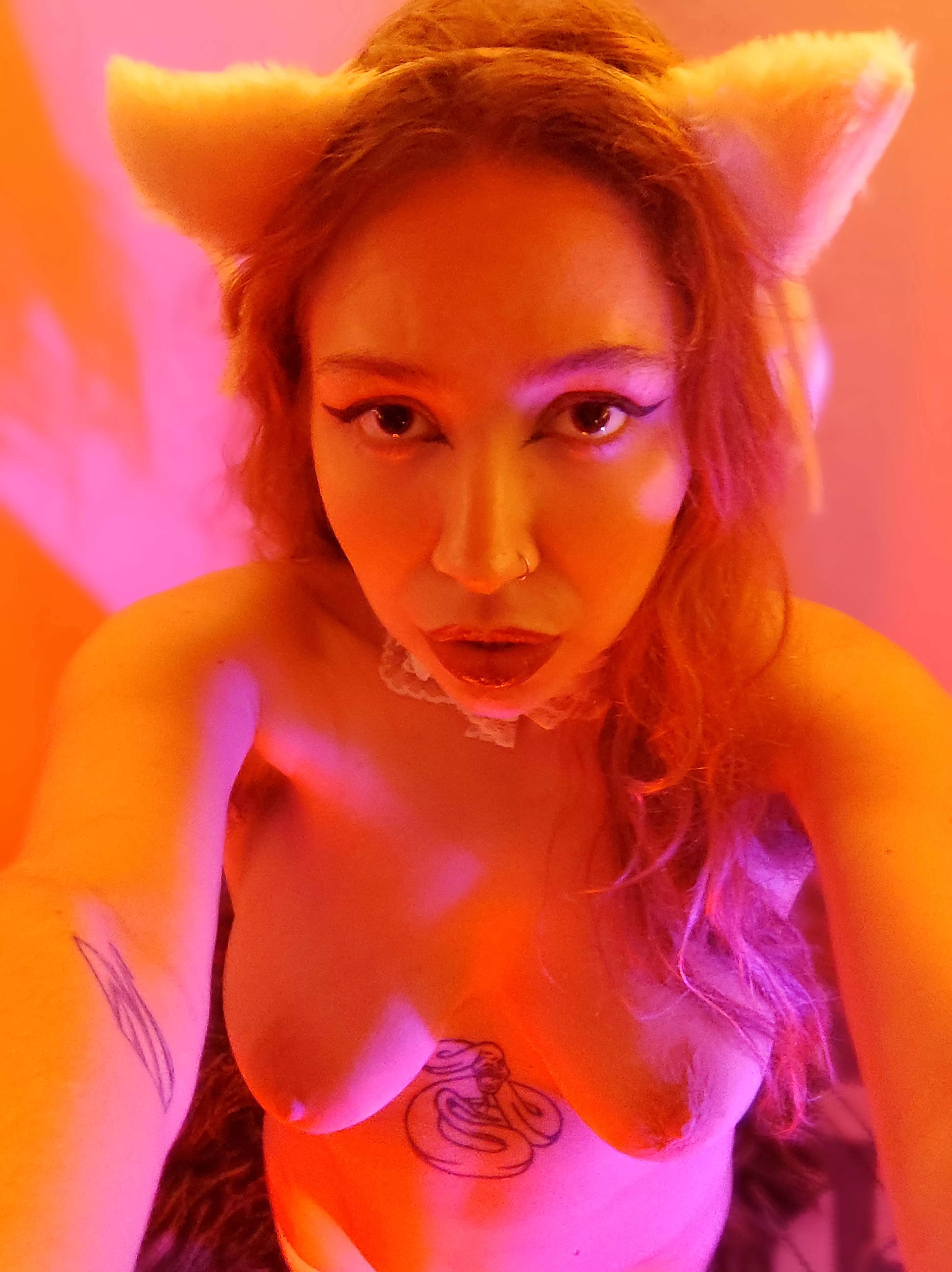 😽 posted by redditlulusnito