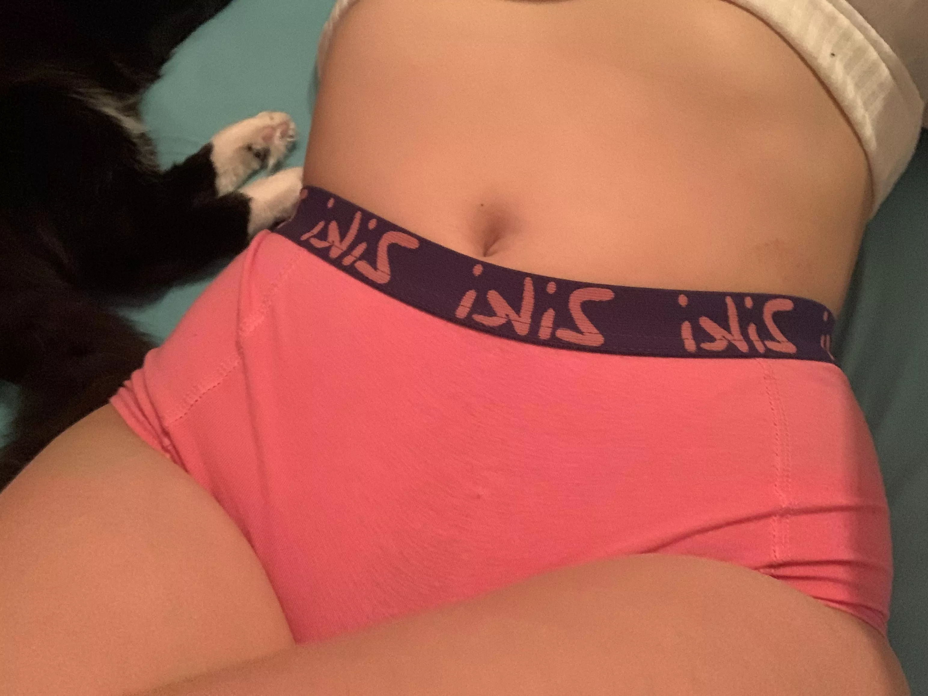 🐾🐾 posted by Xxkityx