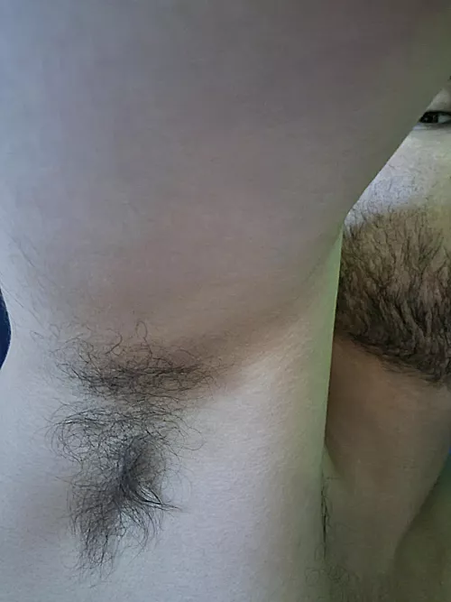 🐻 by TheArmpitBoy