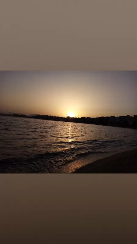 📷 by RaspberryLeather5383