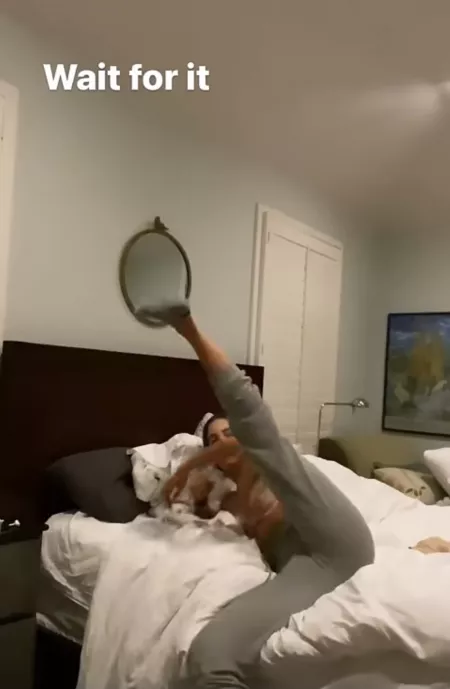 🐫 by Lurkernsfw777