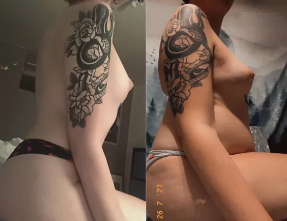 1 year, 60 pounds by HeftyDoggy