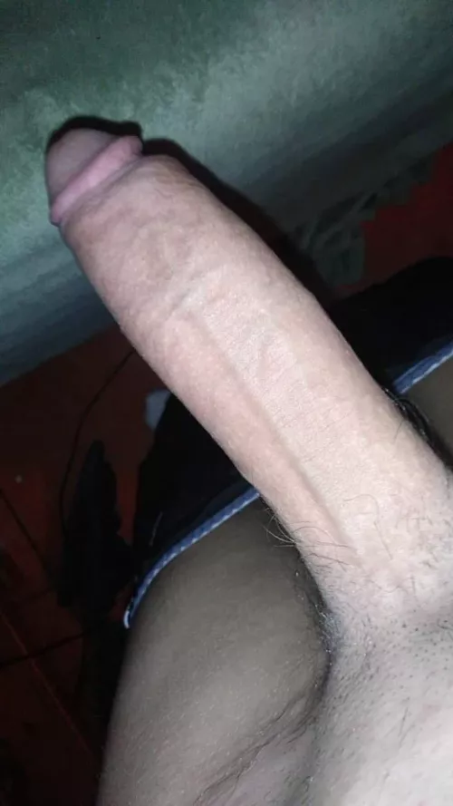 1-10🤨 by Willpetyourdog