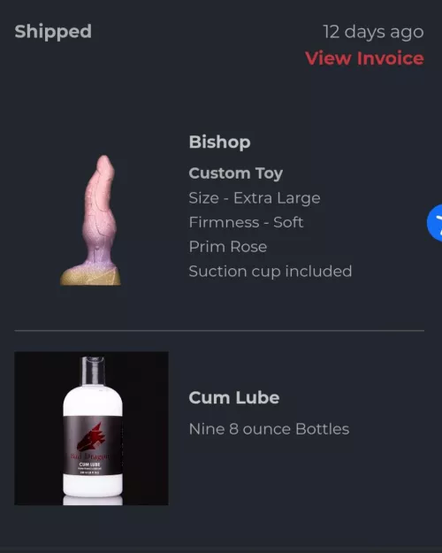 12 days to make and ship my bishop. I'm impressed! by JakeTheFoxxy